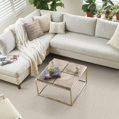 beige textured carpets in a bright Seminole FL living room